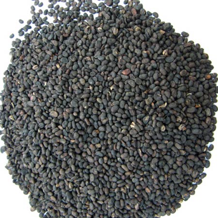 babchi-seeds-828485
