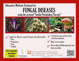 fungal