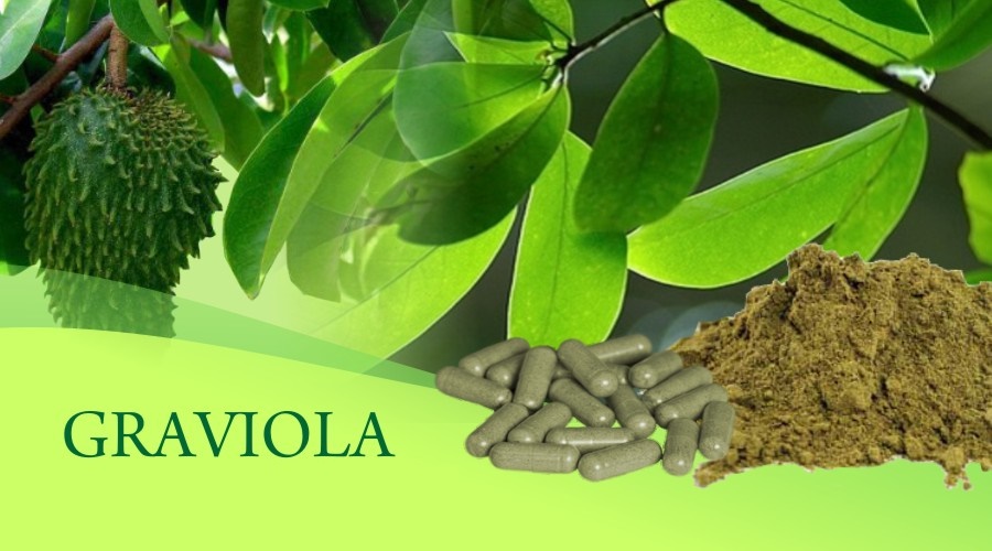 graviolaindonezia