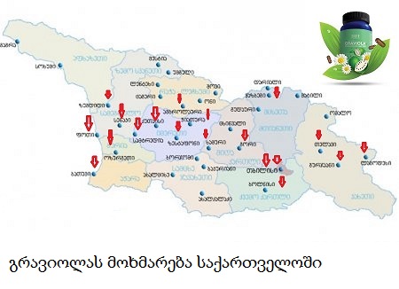 ge georgia